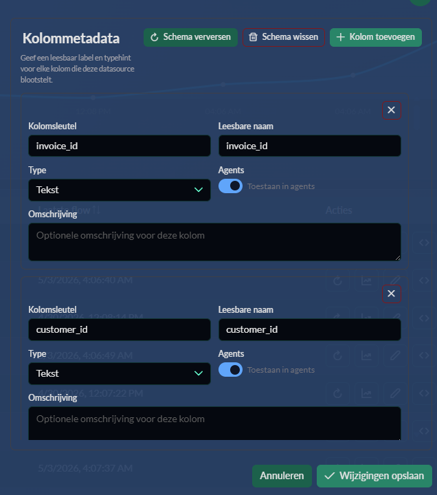 Kolommetadata screenshot placeholder