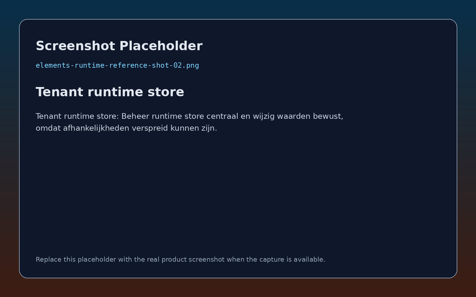 Tenant runtime store screenshot placeholder
